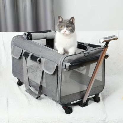 Sac de transport pour gros chat | La Mallette Royale - Le Palais des Chats