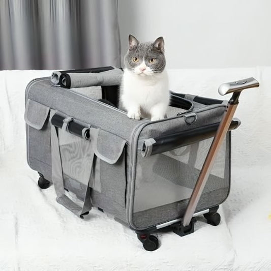 Sac de transport pour gros chat | La Mallette Royale - Le Palais des Chats
