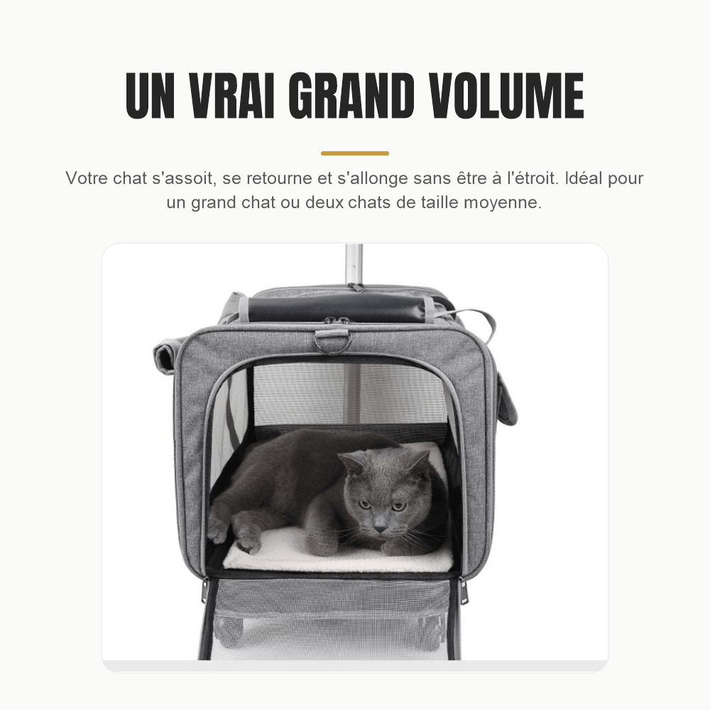 Chat gris allongé sur le coussin blanc à l'intérieur du sac ouvert, montrant la hauteur disponible sous le toit