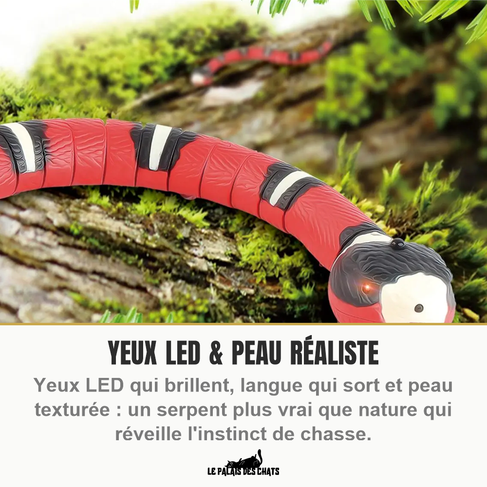 Serpent électronique interactif pour chat – Capteur intelligent, yeux LED & recharge USB - Le Palais des Chats