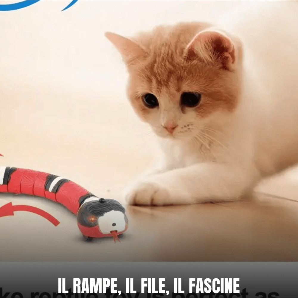 Serpent électronique interactif pour chat – Capteur intelligent, yeux LED & recharge USB - Le Palais des Chats