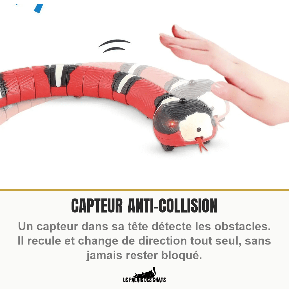 Serpent électronique interactif pour chat – Capteur intelligent, yeux LED & recharge USB - Le Palais des Chats