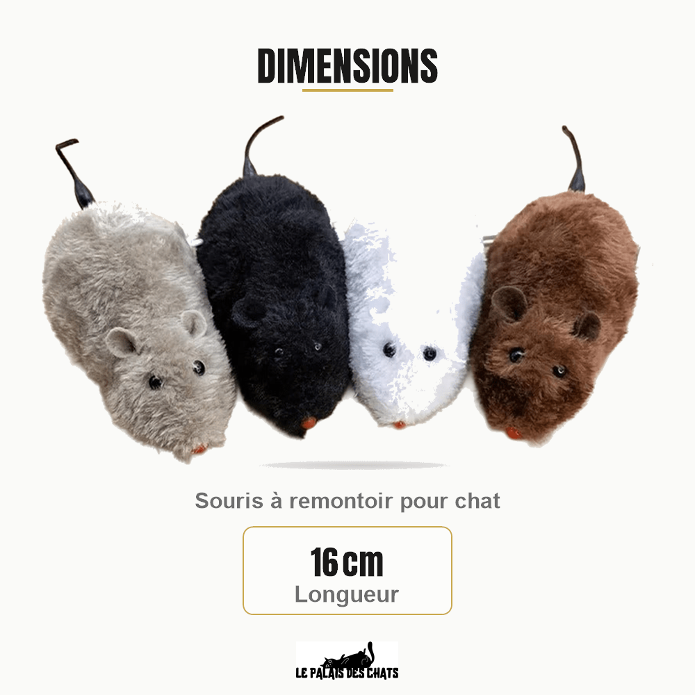 Dimensions de Ratatouille : 16 cm Longueur