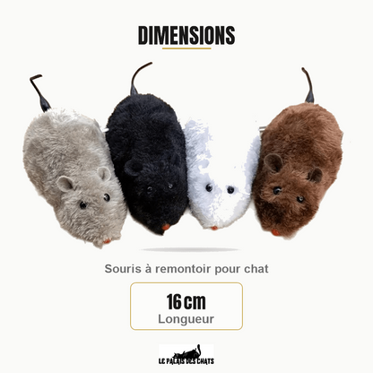 Dimensions de Ratatouille : 16 cm Longueur