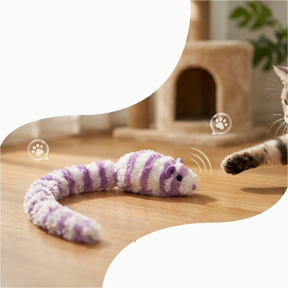 Souris en peluche à longue queue posée sur le parquet, un chat tend la patte pour l'attraper
