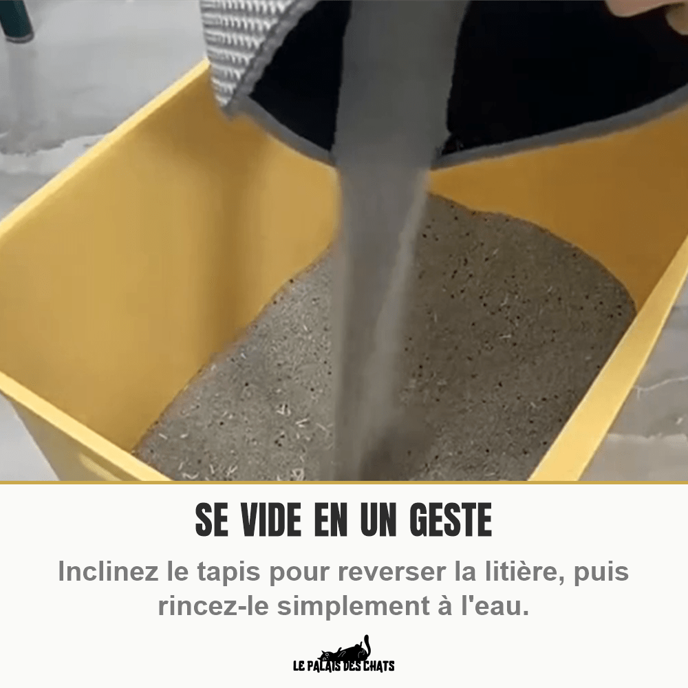 Tapis de litière pour chat | Doux Pas Félin - Le Palais des Chats