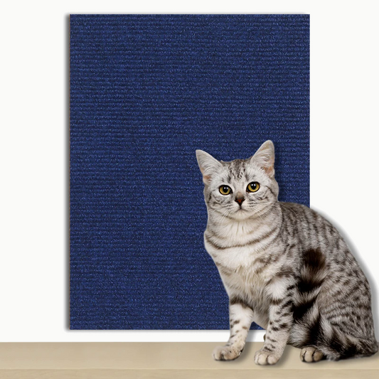 Tapis griffoir adhésif bleu marine pour chat, moquette à fines côtes, avec un chat tigré assis devant