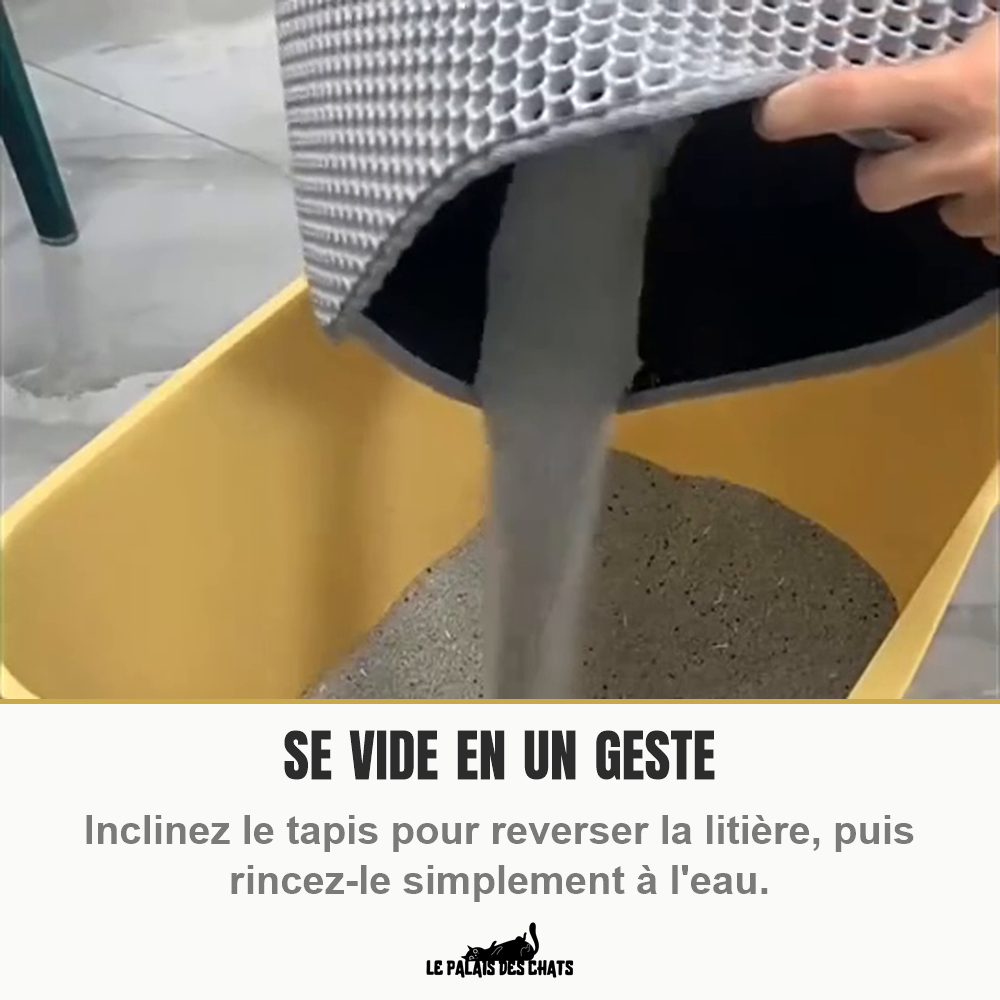 Tapis de litière gris incliné au-dessus d'un bac jaune pour y reverser les grains retenus, vidange en un seul geste