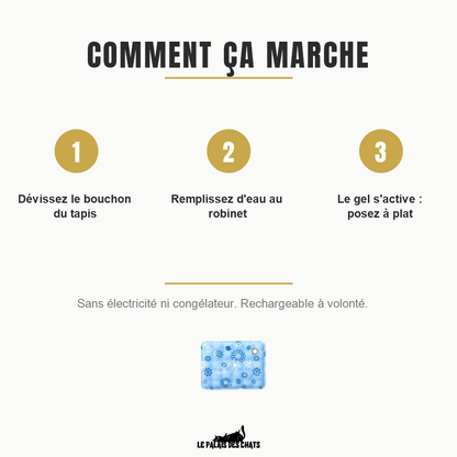 Comment activer le tapis rafraîchissant pour chat : se remplit d'eau