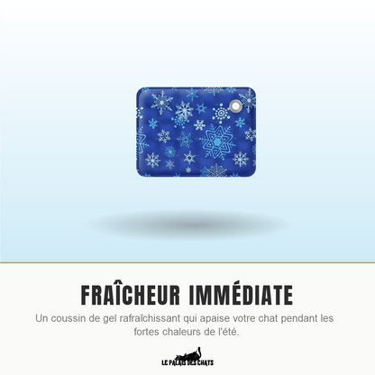 Tapis rafraîchissant pour chat à gel, fraîcheur immédiate